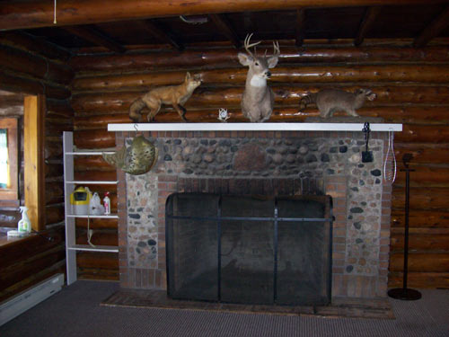 Lake Homes - Roy Lake, Minnesota