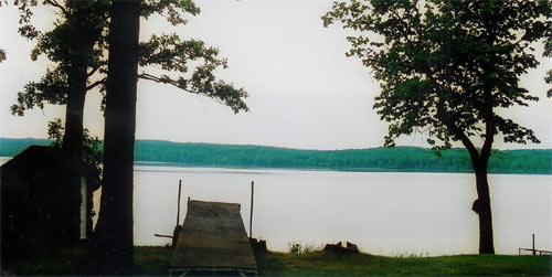 Lake Homes - Roy Lake, Minnesota